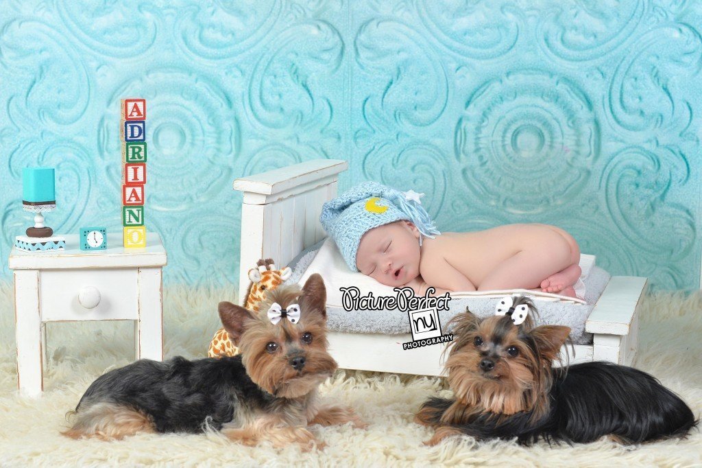 Brooklyn Baby Photographer