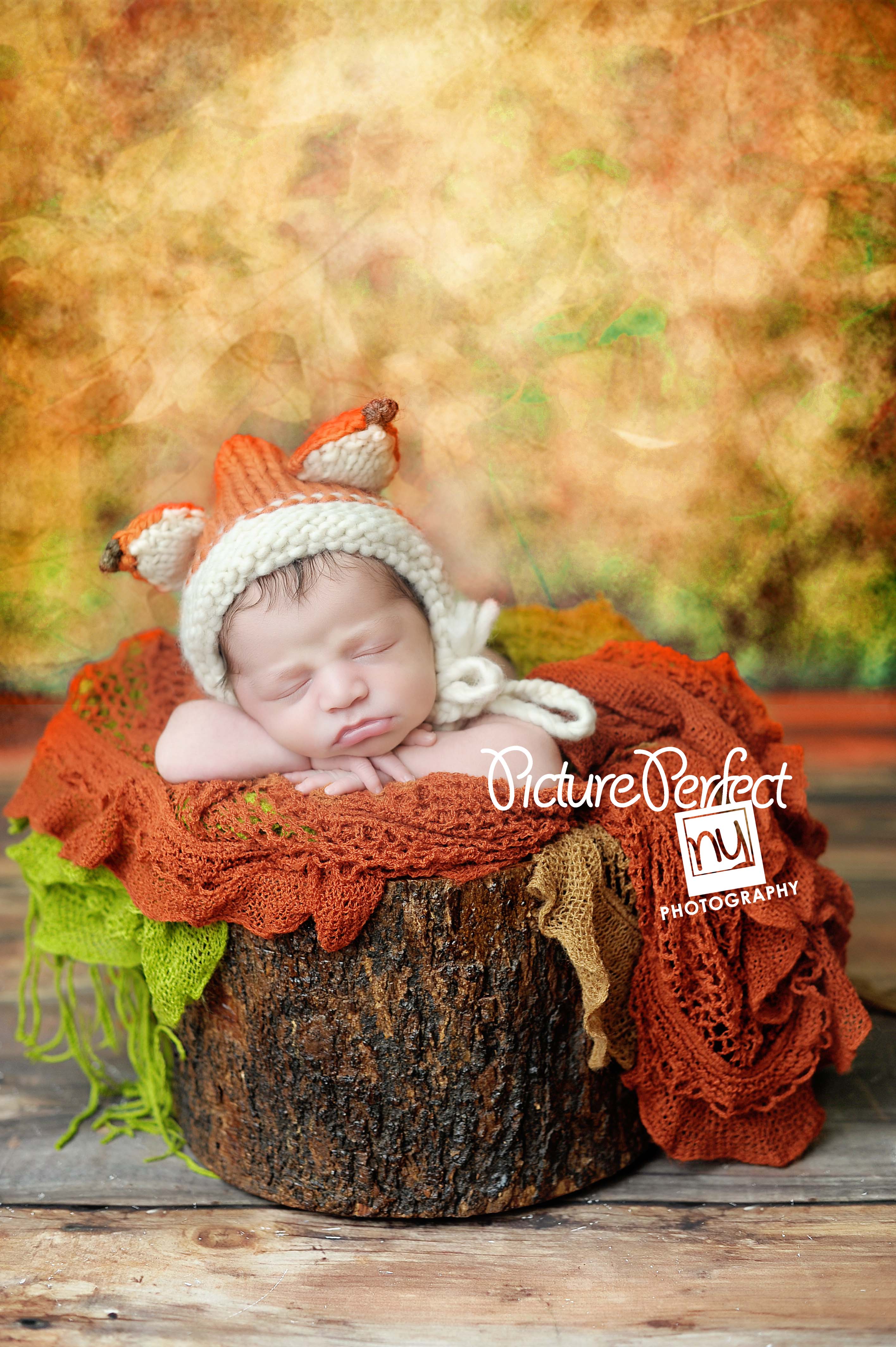 Newborn Photographer Brooklyn NY