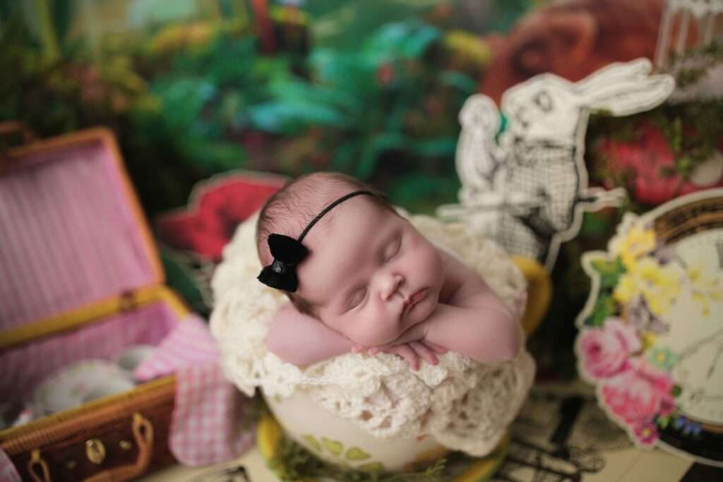 alice in wonder land newborn theme