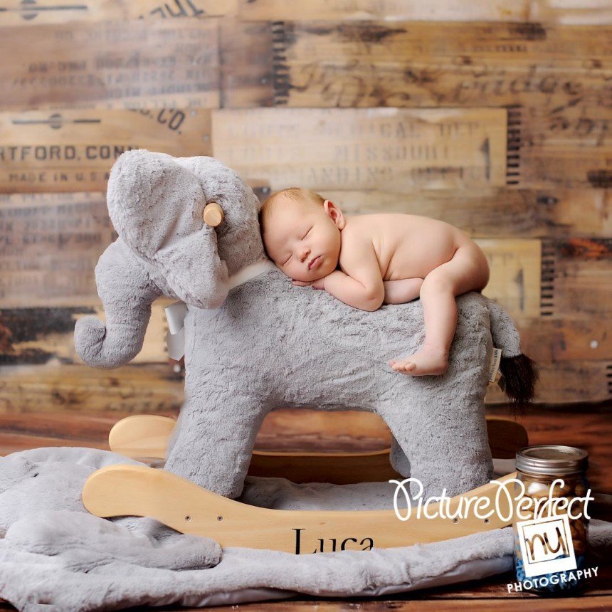 Bay Ridge Brooklyn Newborn photographer