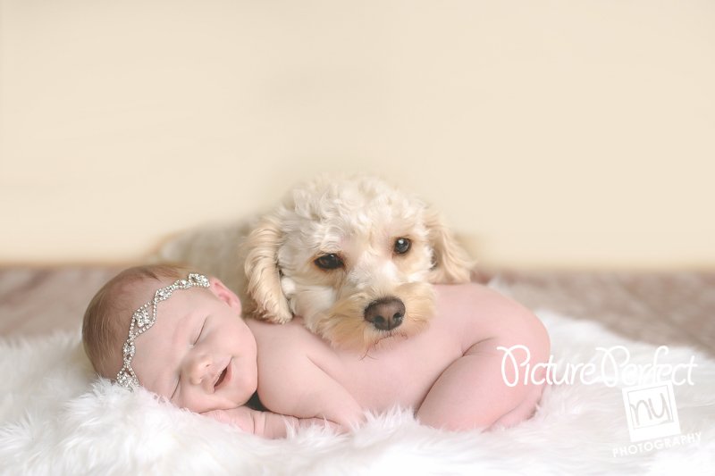 Newborn baby photographer Brooklyn NY 