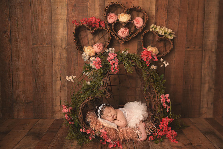 newborn photography new york city