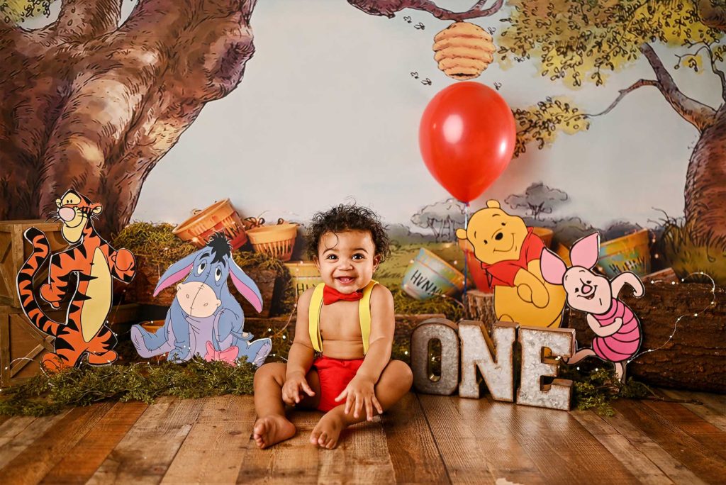 best cake smash photographer in nyc winnie the pooh