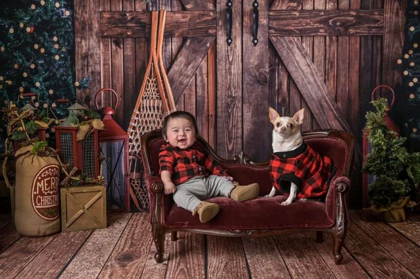 nyc photographer brooklyn holiday xmass