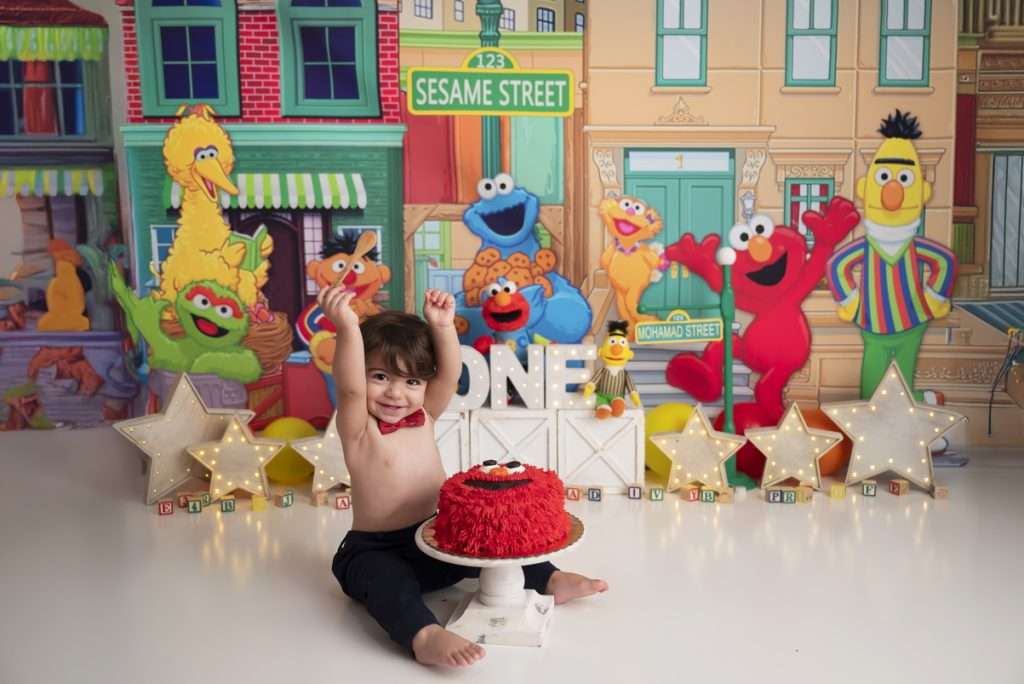Sesame Street Themed Cake Smash, First Birthday Session Elmo Photography Session for Child, sesame street cake smash session, Staten Island cake smash photographer, baby birthday portraits Staten Island, Brooklyn cake smash photography