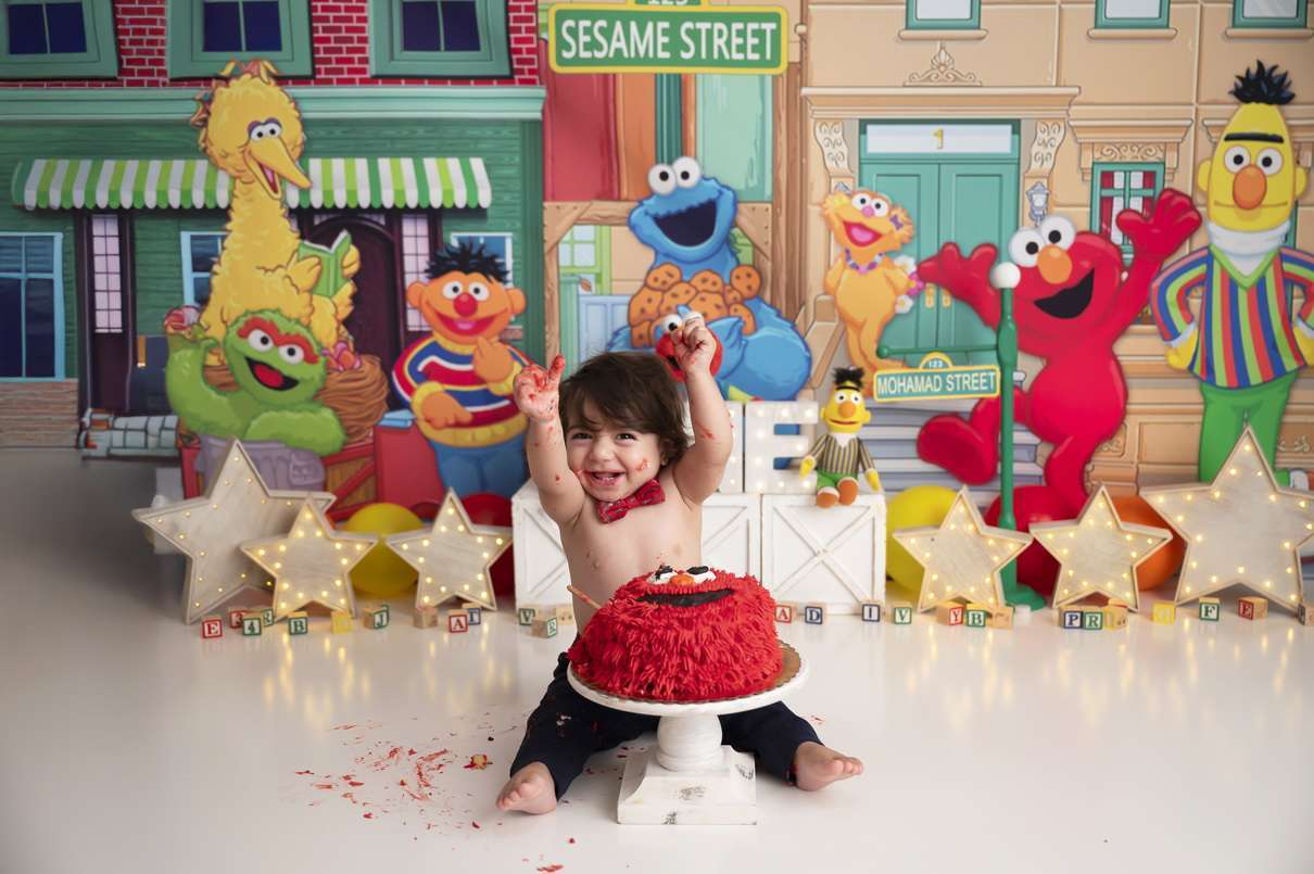 First Birthday Cake Smash Sesame Street Elmo