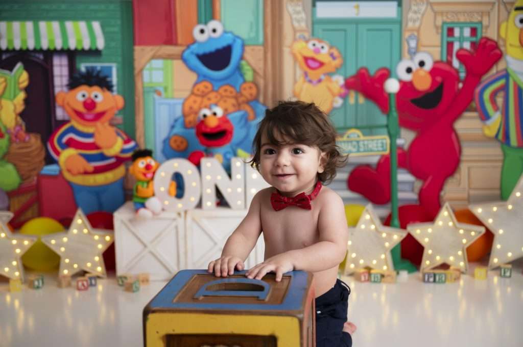 First Birthday Session Elmo Photography Session for Child, sesame street cake smash session, Staten Island cake smash photographer, baby birthday portraits Staten Island, Brooklyn cake smash photography