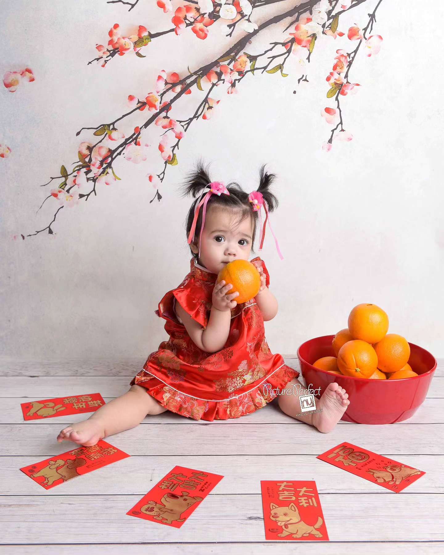 in home newborn photography Staten Island, cake smash photographer near me, NYC baby photographer 10